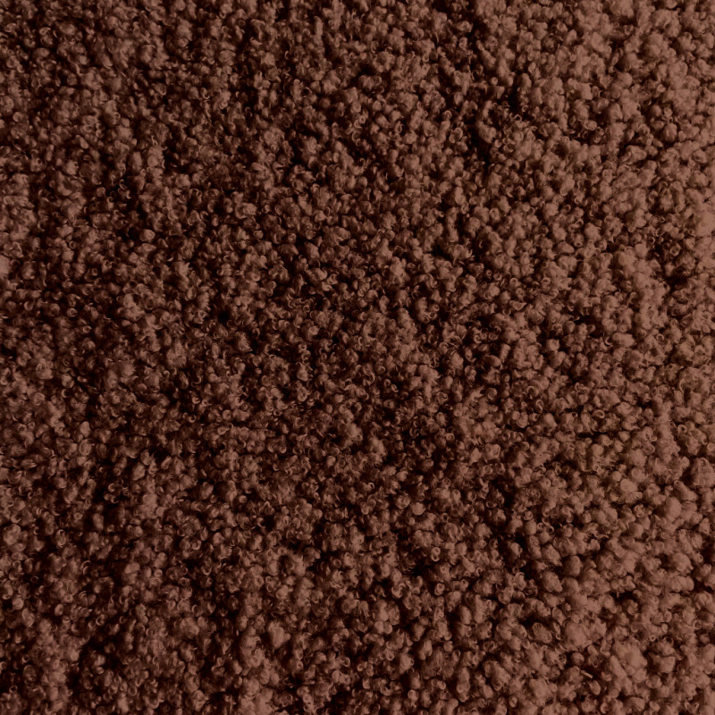 Teddy Cocoa